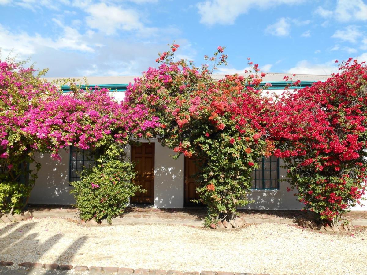 Obesa Lodge Graaff-Reinet Εξωτερικό φωτογραφία
