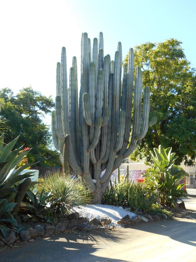 Obesa Lodge Graaff-Reinet Εξωτερικό φωτογραφία