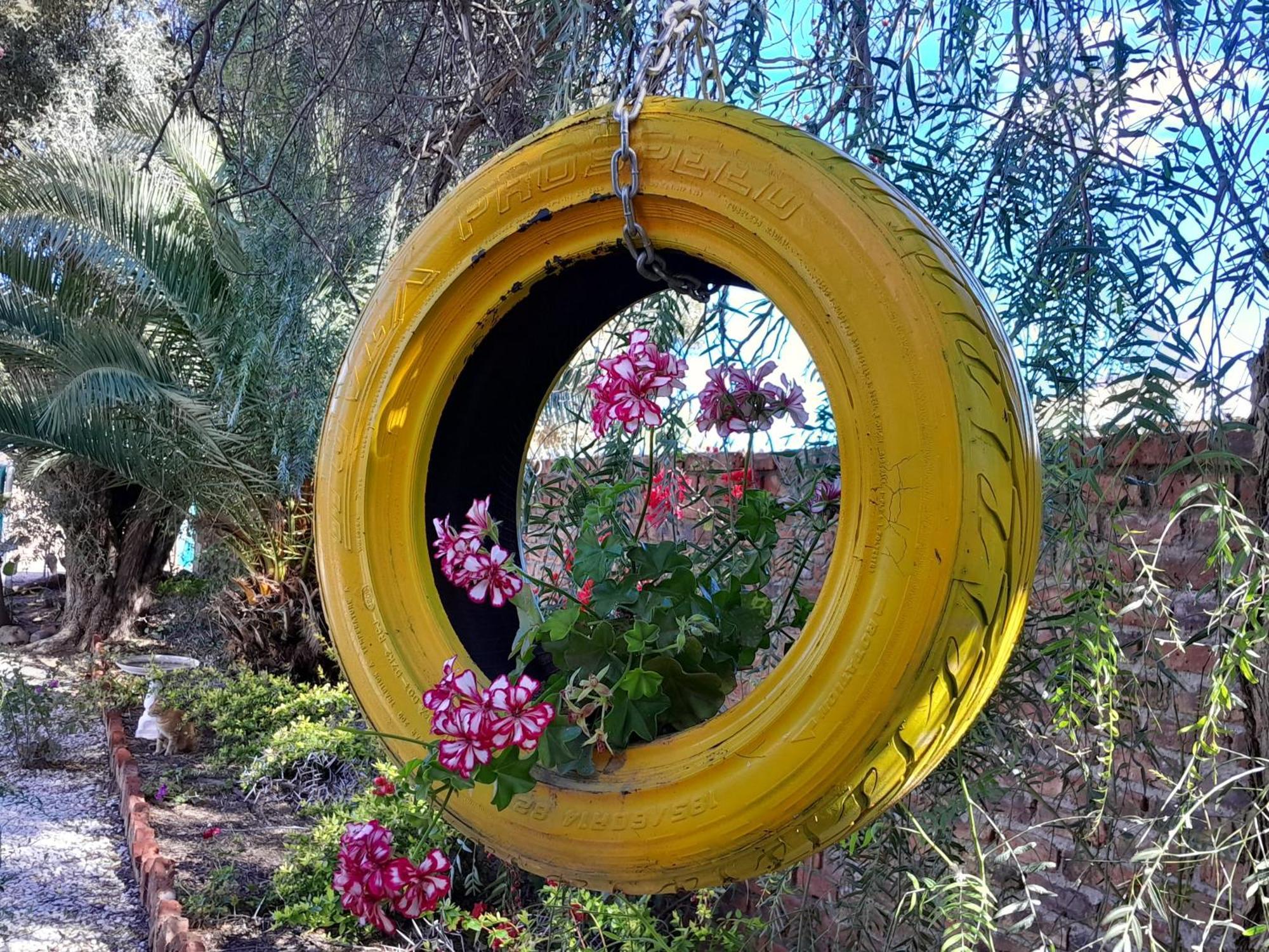 Obesa Lodge Graaff-Reinet Εξωτερικό φωτογραφία
